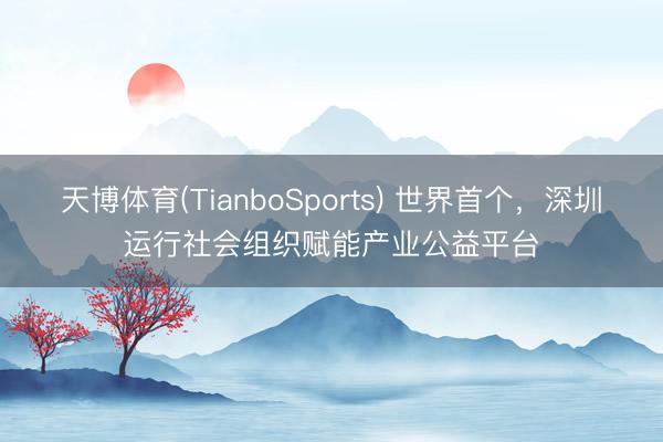 天博体育(TianboSports) 世界首个，深圳运行社会组织赋能产业公益平台